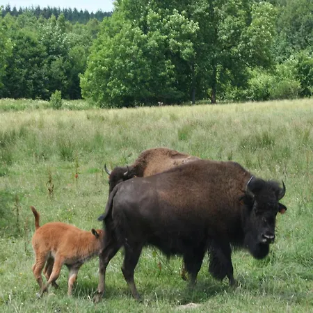 Nature Retreat For Families بيت للعطل *